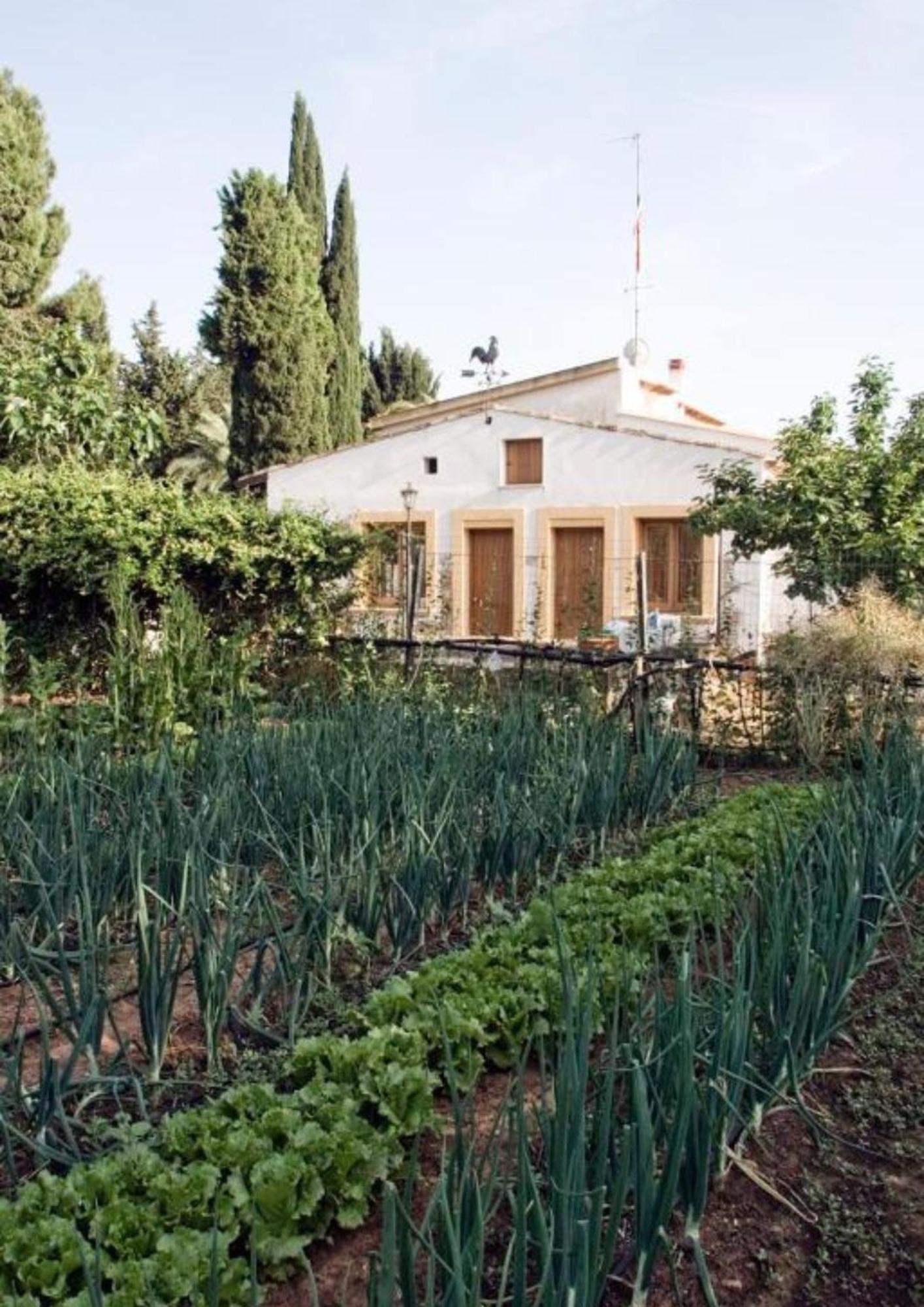 Farm stay Carbona *